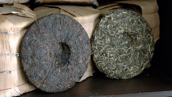 the puer